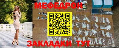 кокс Кингисепп