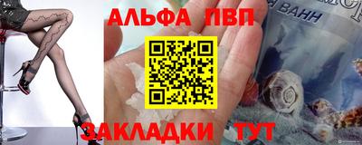 кокс Кингисепп