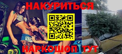 кокс Кингисепп