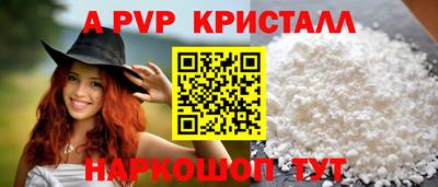 кокс Кингисепп