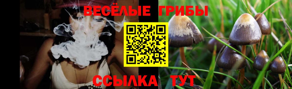 Галлюциногенные грибы GOLDEN TEACHER  Вход с VPN  Симферополь 